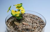 Eco-friendly aquatic robot is made from fish food